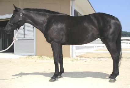 �򺸷� ����