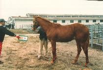 ������ (MANJEOKSA) ����