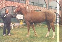 Ư������ (TEUKBYEOLGWALLI) ����