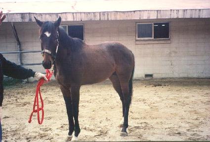 ��´޸� ����