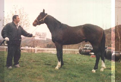 ������ ����