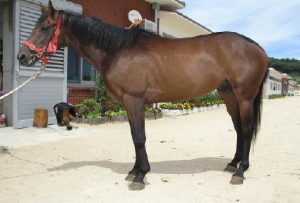 ��ڸ� ����