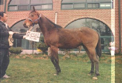 ����Ҹ����� ����