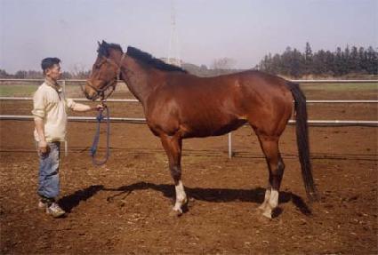 ������ ����