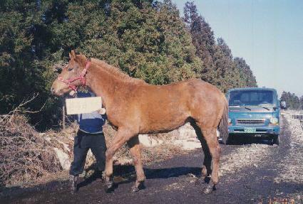 �ָ������� ����