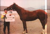 Ÿ��Ʈ (TIGHT) ����