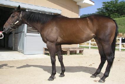 ���Ķ� ����