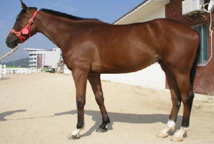 ����� ����