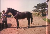 ��̰��� (JAEMIGADEUK) ����