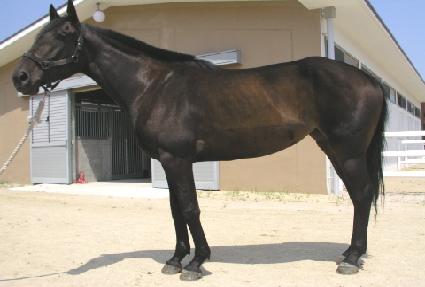 �λ곯�� ����