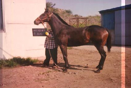 ����ǳ ����