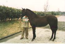 ��ť (THANK YOU) ����