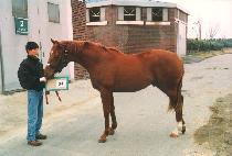 �������� (TONGILJEWANG) ����