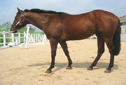 �ȷ�� ����