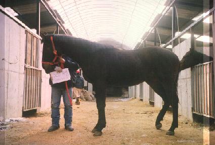 ������Ʈ ����