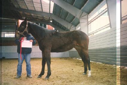 �ϻ� ����