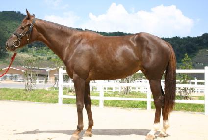 �ܼ� ����