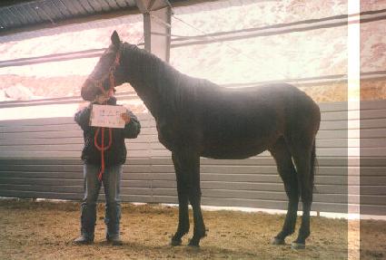 ������� ����