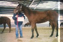 õ������ (CHEONHAJIJON) ����