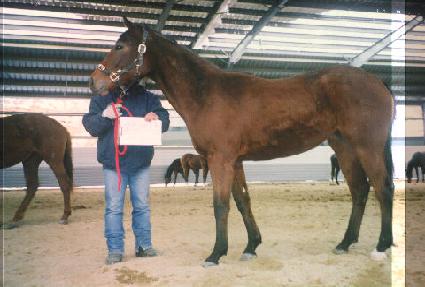 õ������ ����