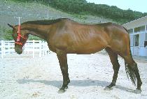 ���Ϳ��� (DUTEOUN JEONG) ����