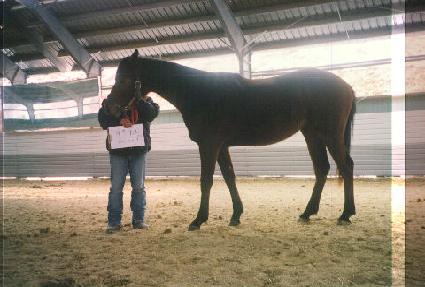 ������ġ ����