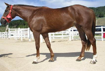 �߻�ȭ ����