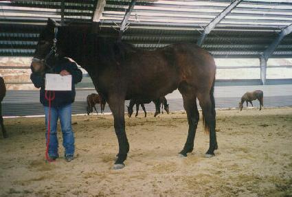 �ո� ����