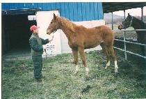 �����ũ (GOLDEN PARK) ����