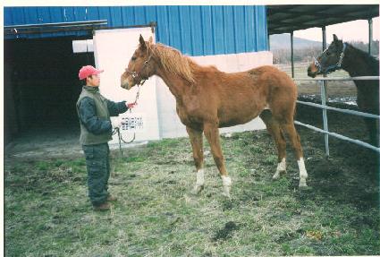 �����ũ ����