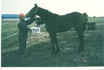 �ϱ�õ�� (ILGWANG CHEONSU) ����