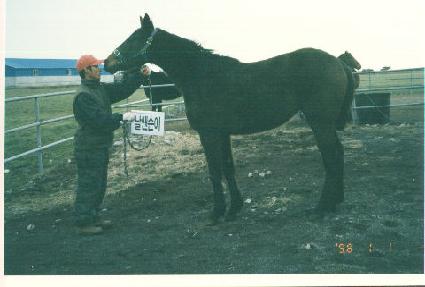 �ϱ�õ�� ����