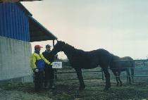 �����ִϾ� (BLACK JUNIOR) ����