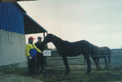 �����ִϾ� ����