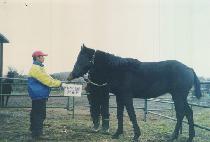 ���� (JEOKTONG) ����