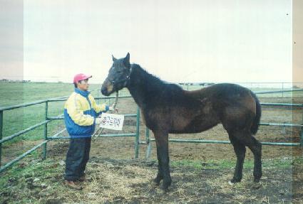 �ݻ� ����