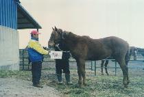 ��õ (SANG CHEON) ����