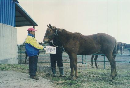 ��õ ����