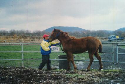 ȸ��� ����