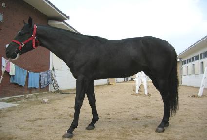 ���� ����