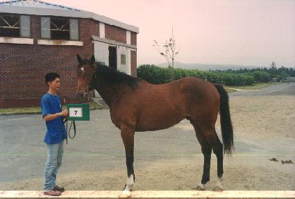 ����õ�� ����