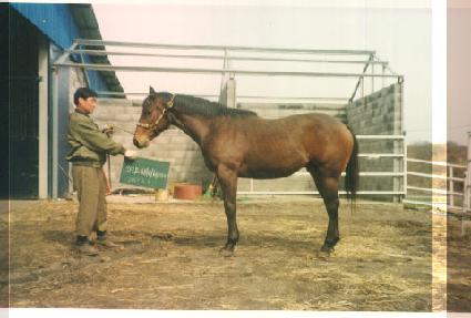 �����̽� ����