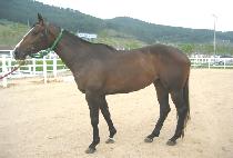 ���� (YEOUL) ����