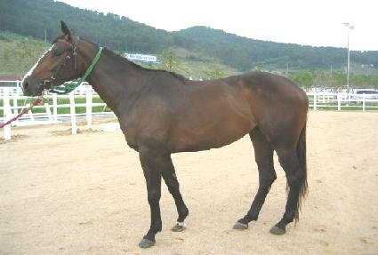 ���� ����