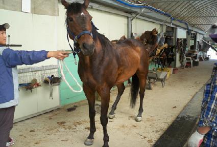 ��Ƽ���ڸ� ����