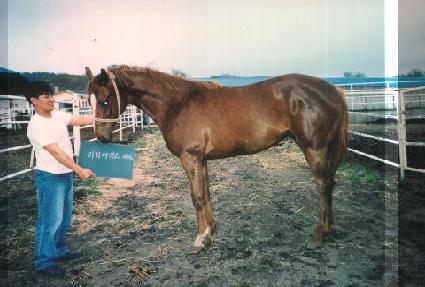 õ��ҳ��� ����