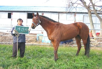 ���ɻ� ����