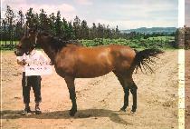 �������� (KKUMUI JILJU) ����