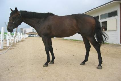 ������ ����