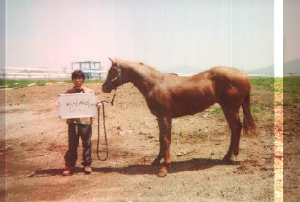 �������̾�Ʈ ����